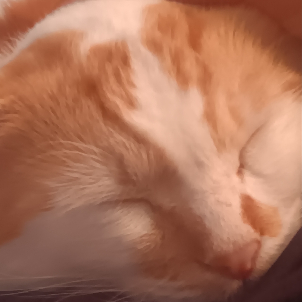 COPY - You miss 100% of the shots you don't take. 💯💯💯